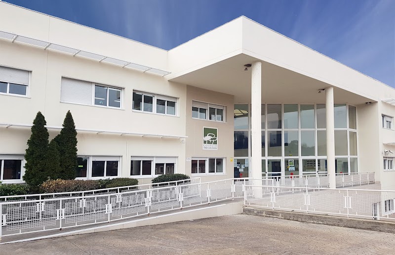 Colegio Tres Olivos
