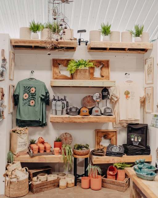 Down To Earth photo 4