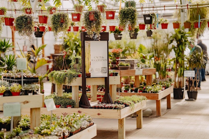 Down To Earth photo 2