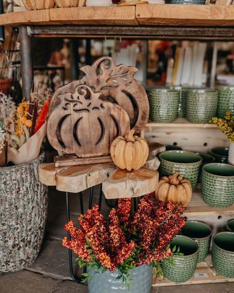 Down To Earth photo 3