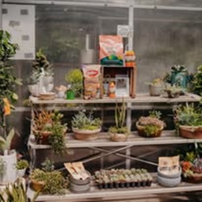 Down To Earth photo 3