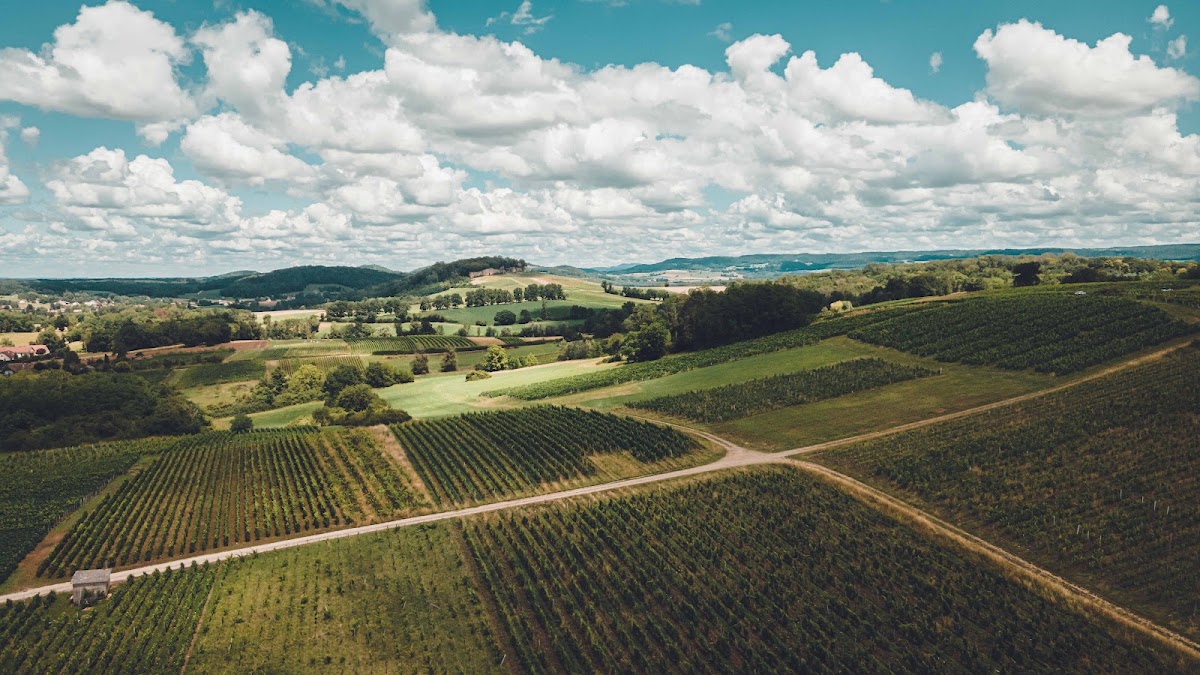 Domaine Bourdy