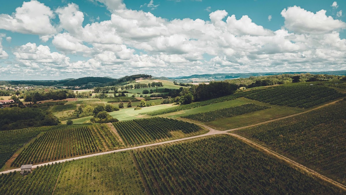 Domaine Bourdy