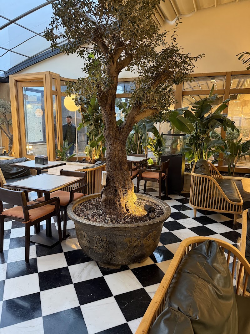 Shamsa Rooftop photo 2