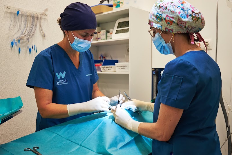 Centro Veterinario WECAN Que Fauna!