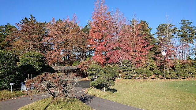 Nippon Country Club - Photo 7