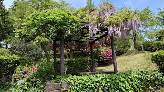 Nippon Country Club - Photo 8