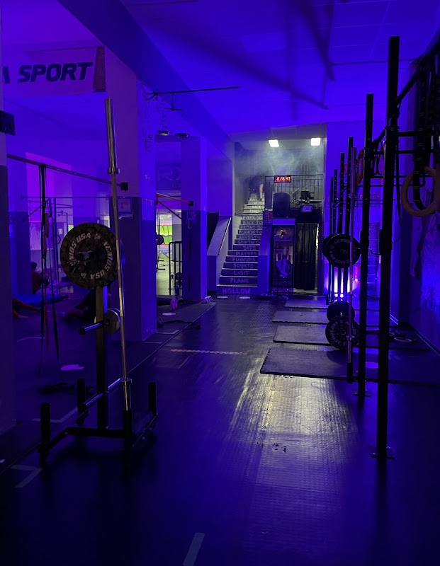 Calisthenics Palermo