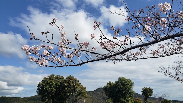 Anan Country Club - Photo 9
