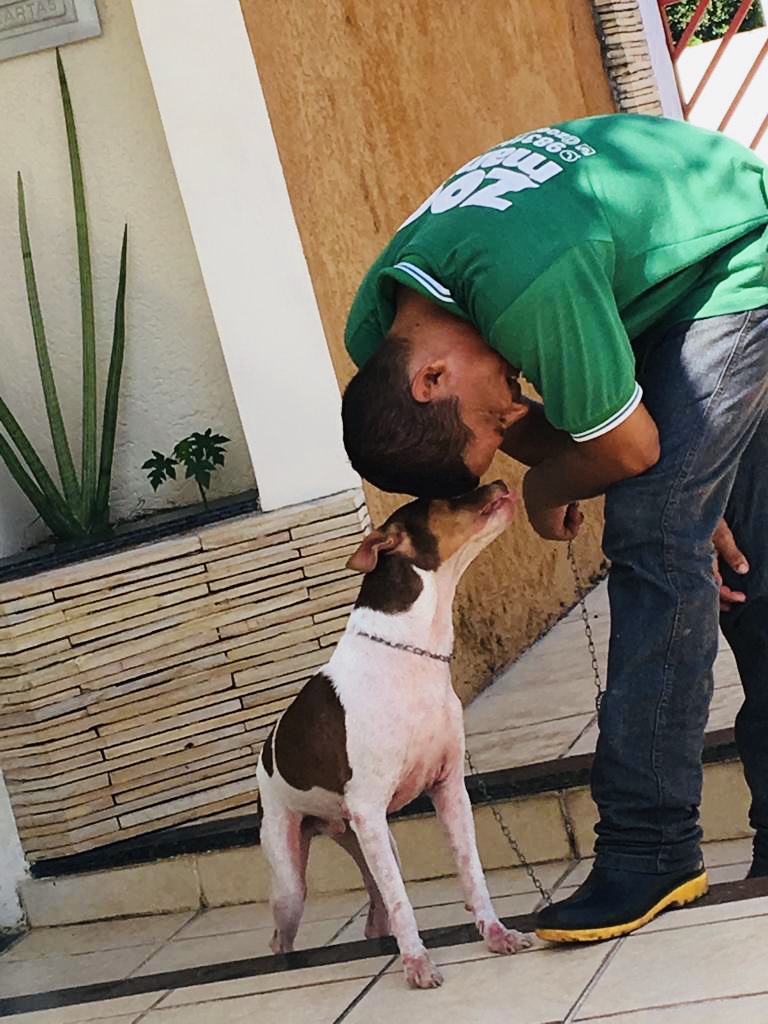 Zoomania Olho D’Água 24h - foto 5