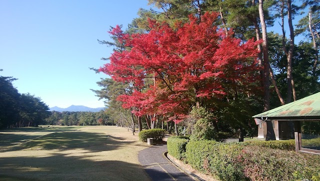 Three Lakes Country Club - Photo 3