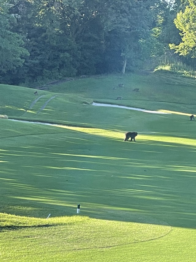Three Lakes Country Club - Photo 7
