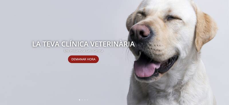 Clínica veterinària Animàlia