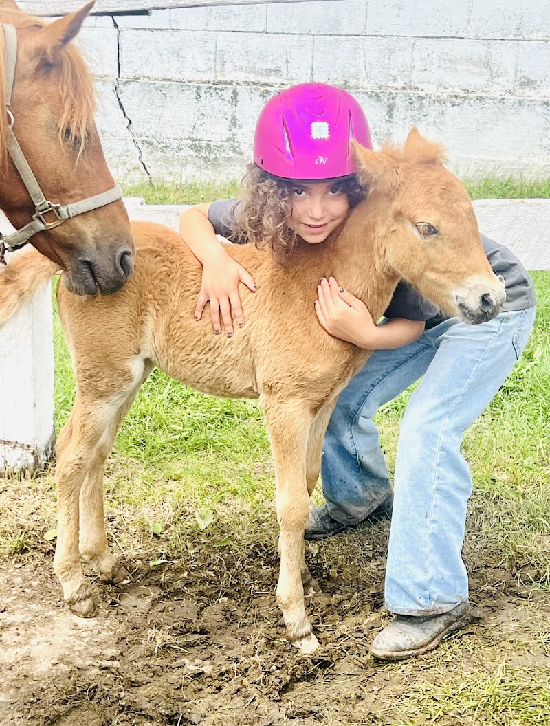 Circle R Ranch - Photo 1