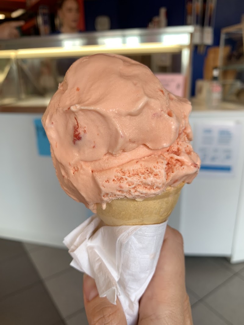Scoop Royal photo 2