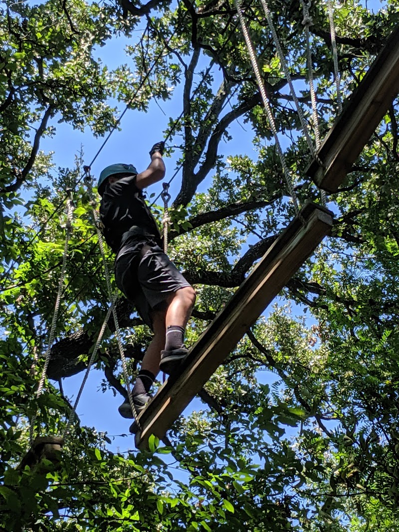 Trinity Forest Adventure Park — interior