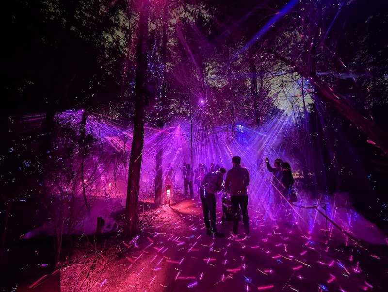 Trinity Forest Adventure Park photo 7