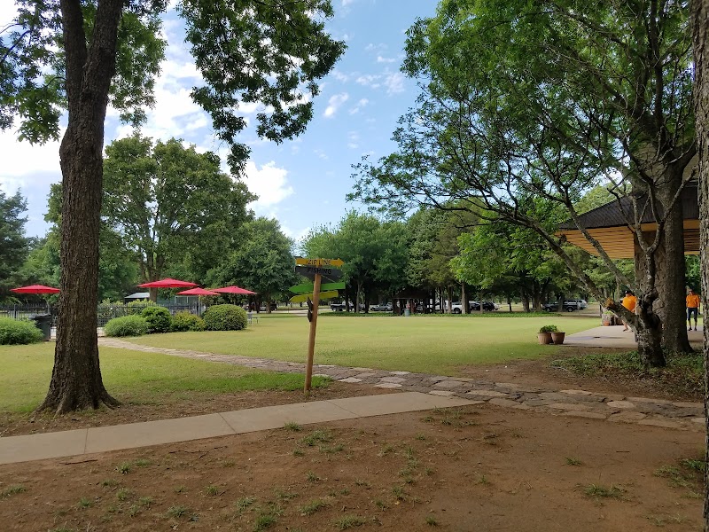 Trinity Forest Adventure Park photo 8