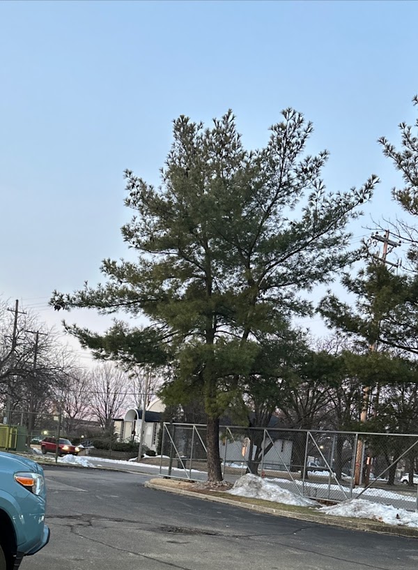 Photo by Brandie Vanover