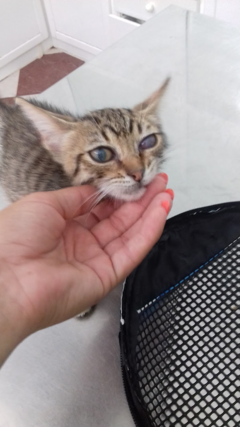 CENTRO VETERINARIO TODOCAN MASCOTAS Y SALUD