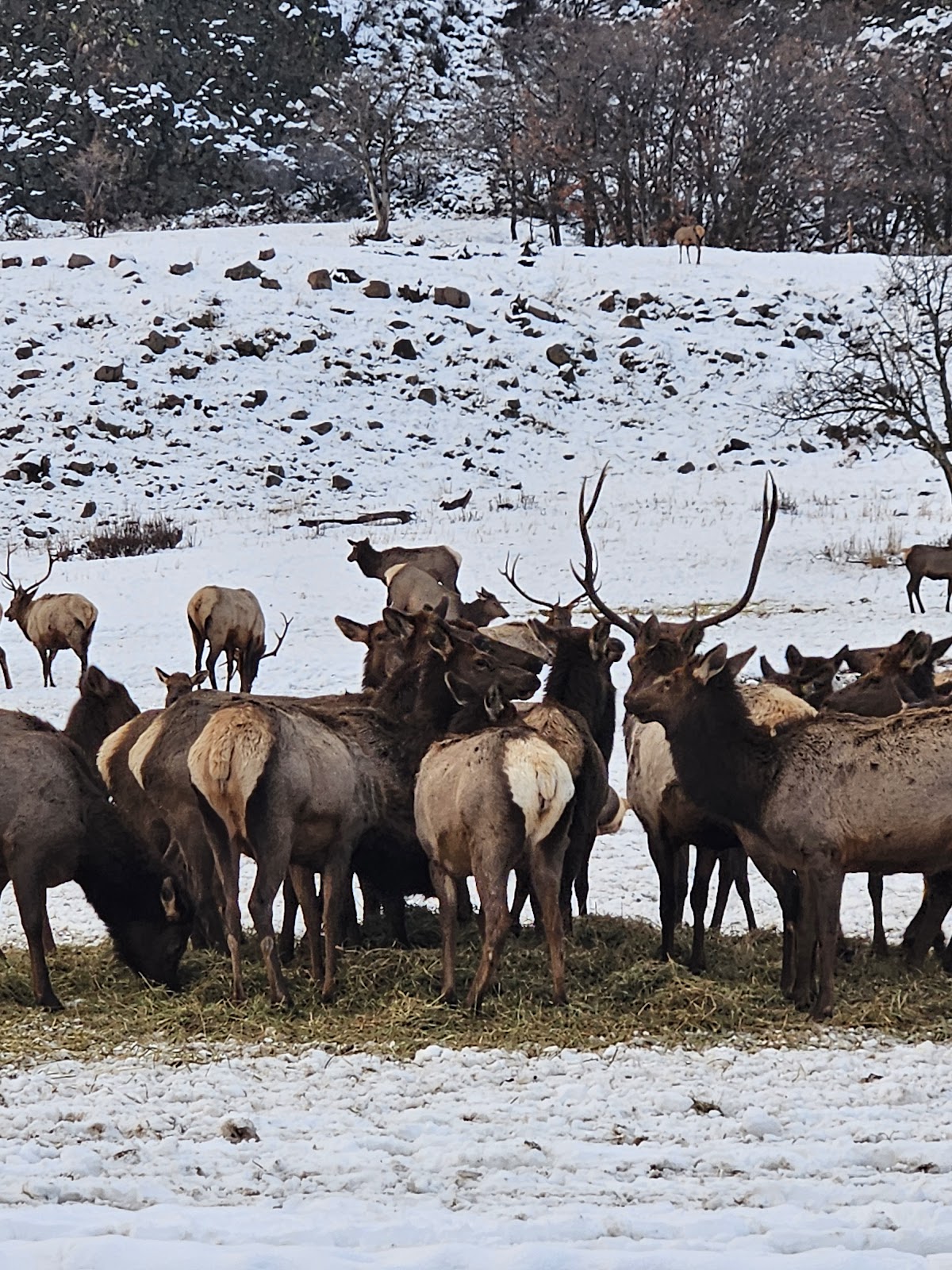 Oak Creek Wildlife Area - Oak Creek Unit