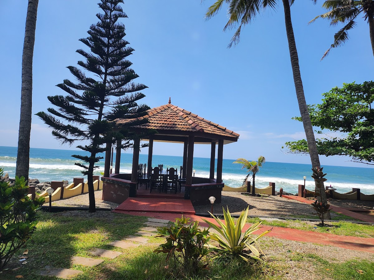 Rama School Of Yoga / Yoga Teacher Training (YTTC) . Varkala beach, Kerala — 4
