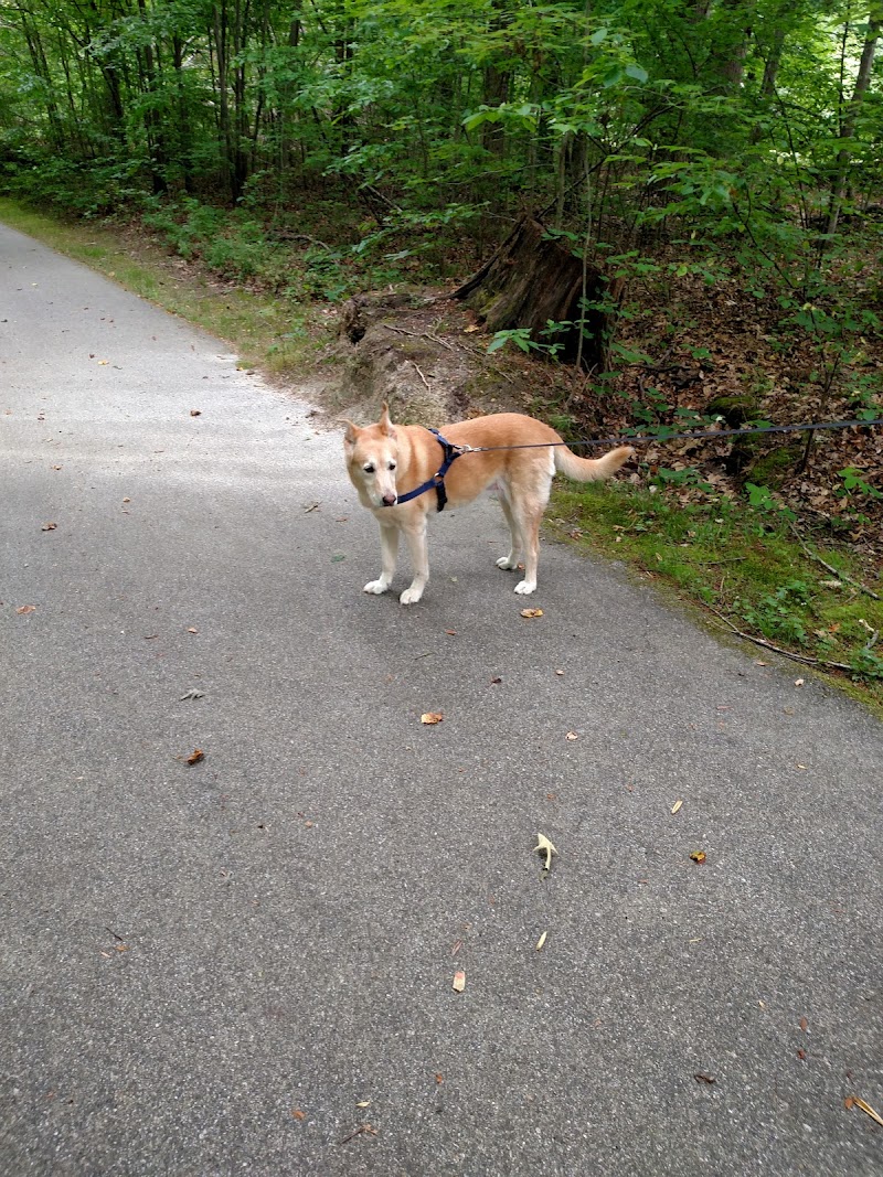 Jamestown Park photo 5