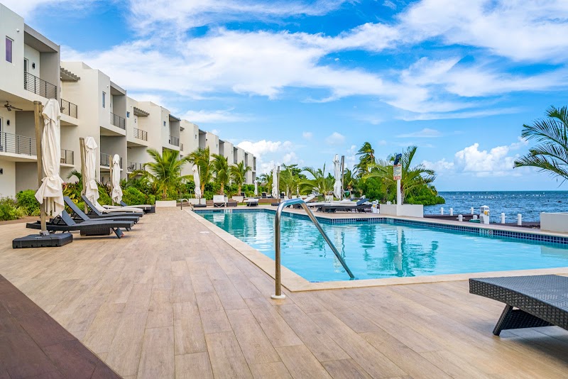 Engel & Volkers Cayman Islands photo 3