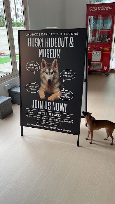 Husko Asia fotoğraf 1