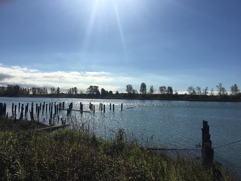 Sanctuary Cafe photo 3