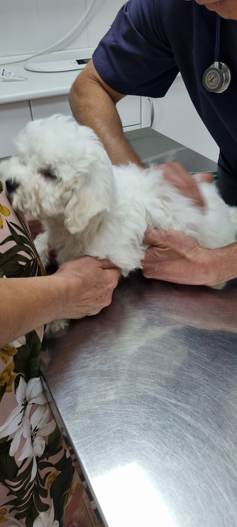 Clínica veterinaria Campo de Níjar