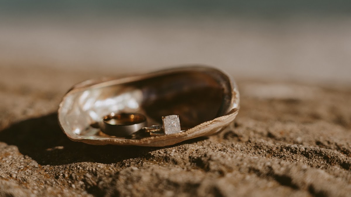 Golden Hour Photo Co.: Google Places image 5