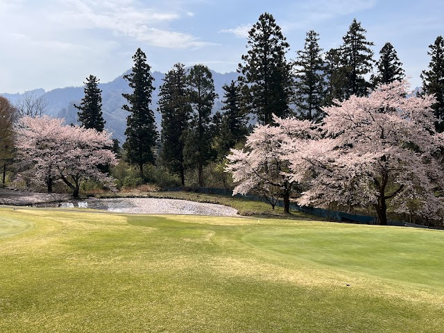 Village Higashi-Karuizawa Golf Club - Photo 7