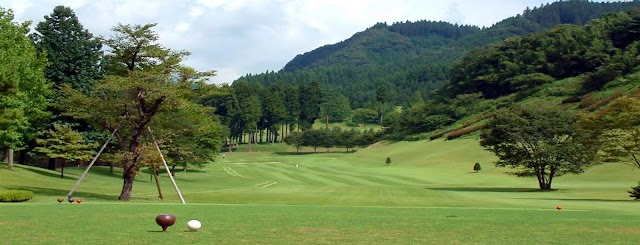 Village Higashi-Karuizawa Golf Club - Photo 1