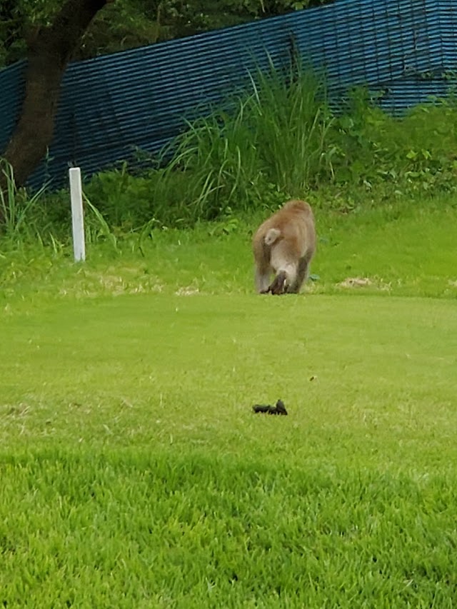 Village Higashi-Karuizawa Golf Club - Photo 6