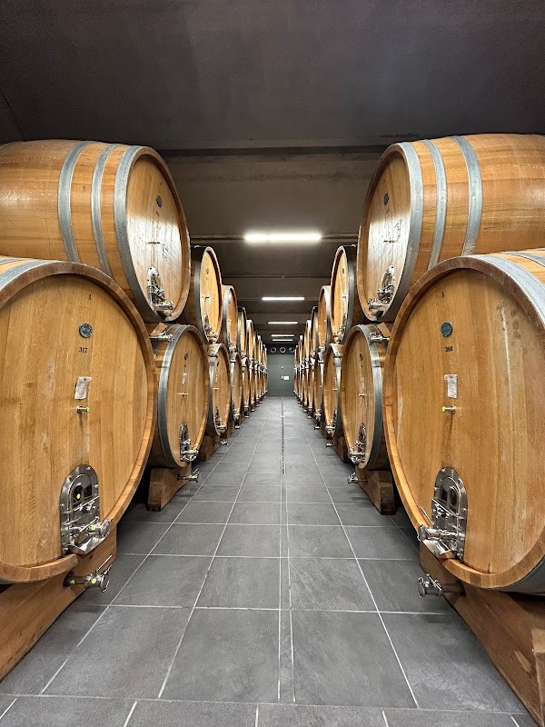Cantina Terre del Barolo