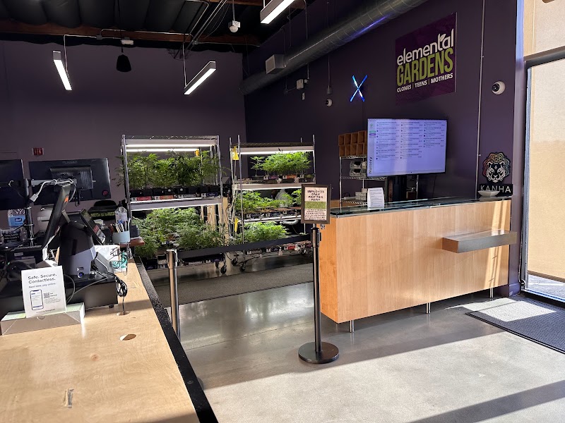 Video tour of Elemental Wellness Cannabis Dispensary San Jose retail environment