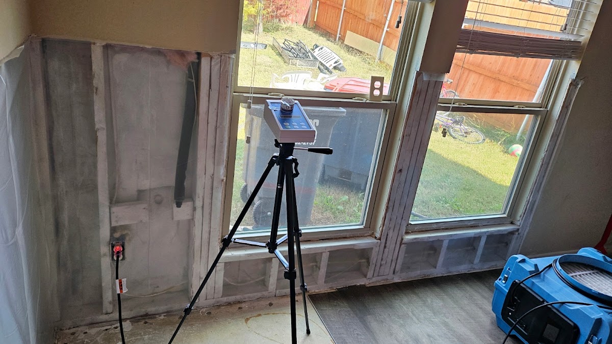 Mold Testing and Removal — photo