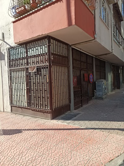 Mutlu gümrükleme depo - Nakliyat