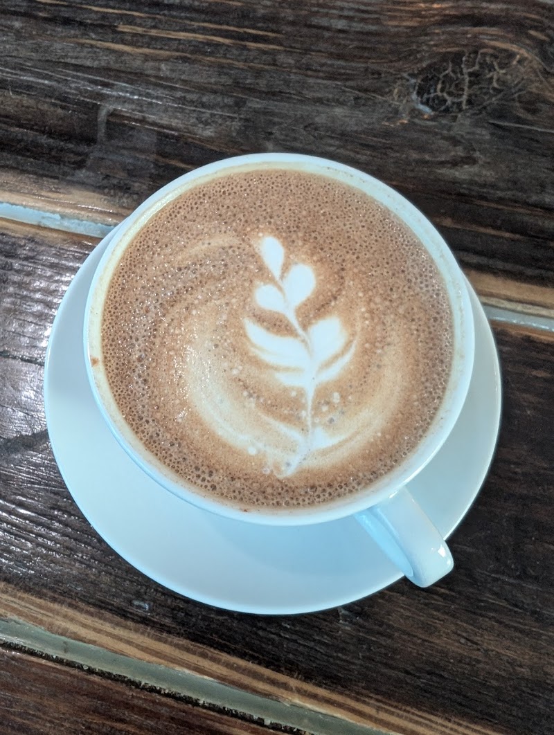 Twenty Below Coffee Co. Moorhead photo 4