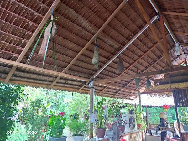 Bamboo House Cafe & Catering - Photo 1