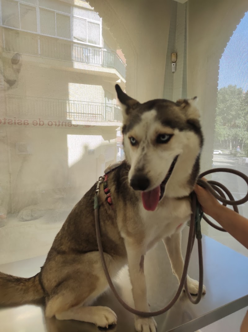 Centro de asistencia veterinaria
