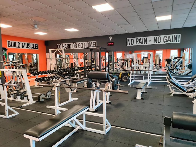 Active Gym
