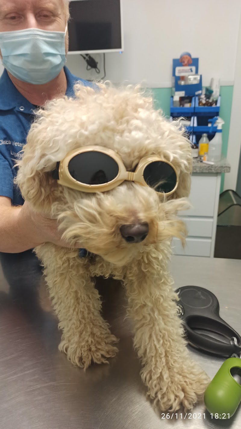 Clinica Veterinaria Laguna