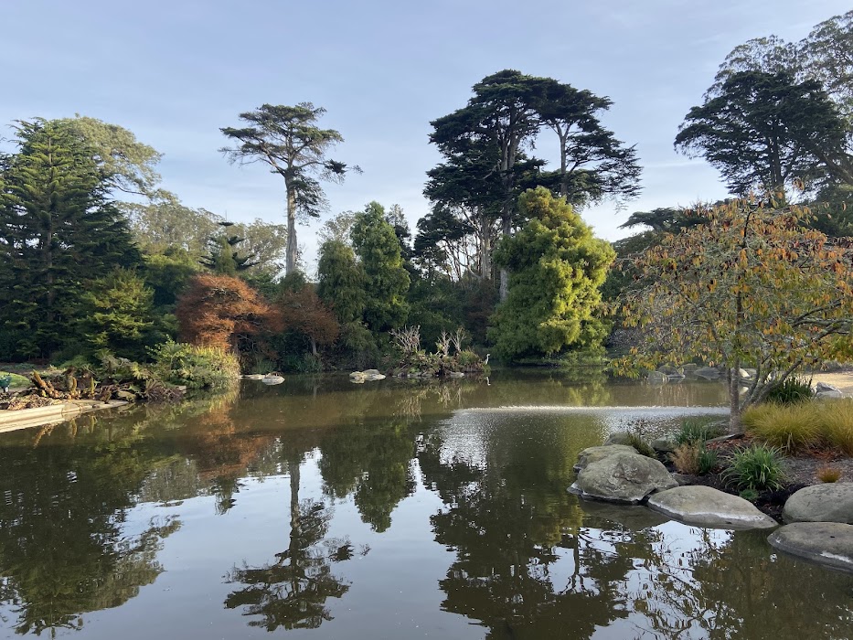 San Francisco Botanical Garden fotoğraf 1