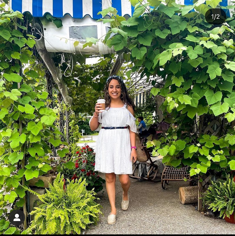 Hayfields Cafe & Florist photo 3