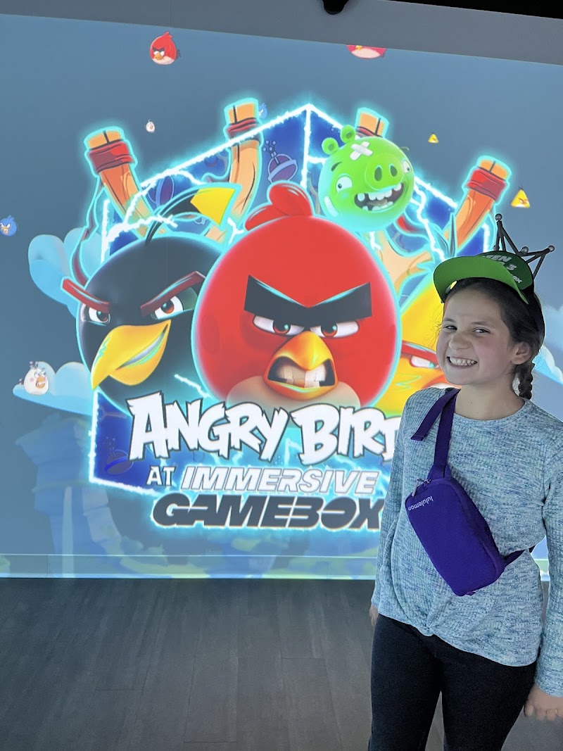 Immersive Gamebox photo 6