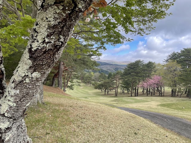 Adatara Country Club - Photo 10