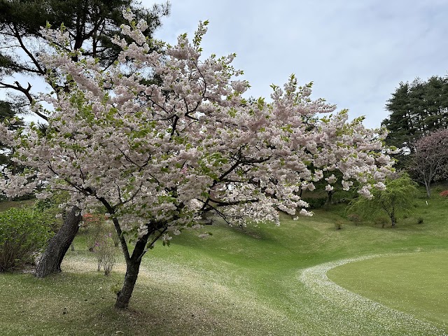 Adatara Country Club - Photo 8