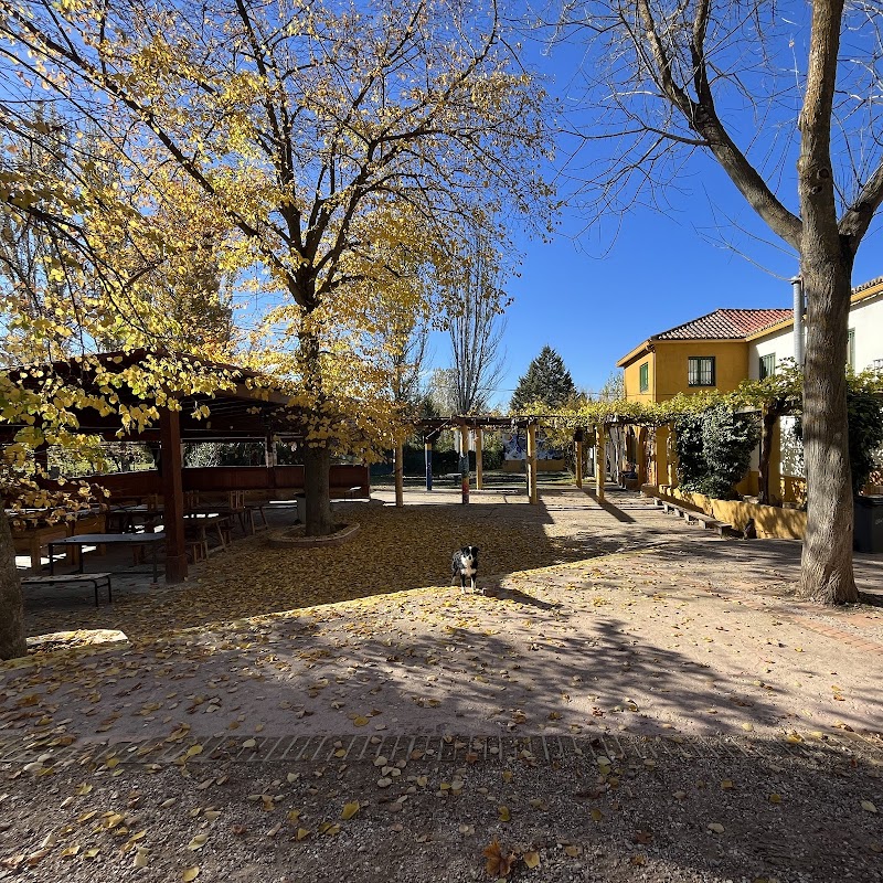 Orchard Farm School Clean